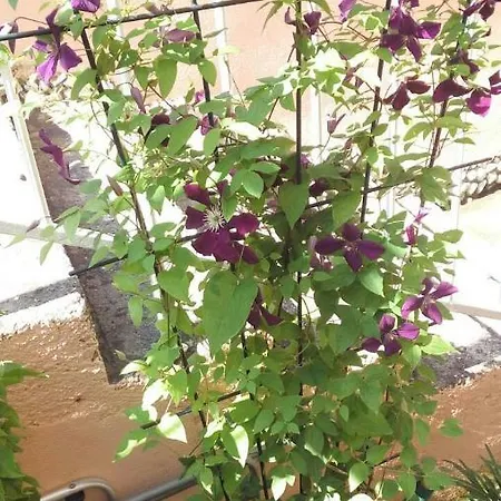 Isabella Apartment *