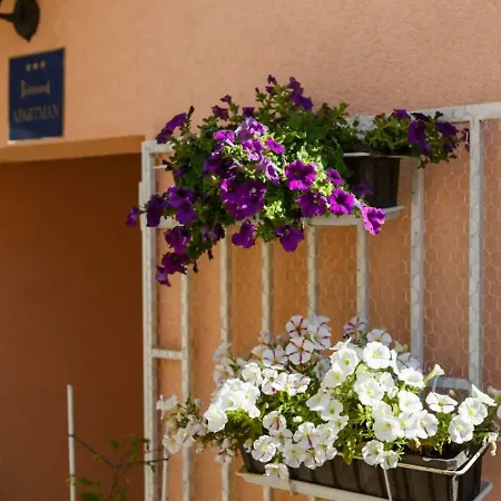 Isabella Apartment Makarska