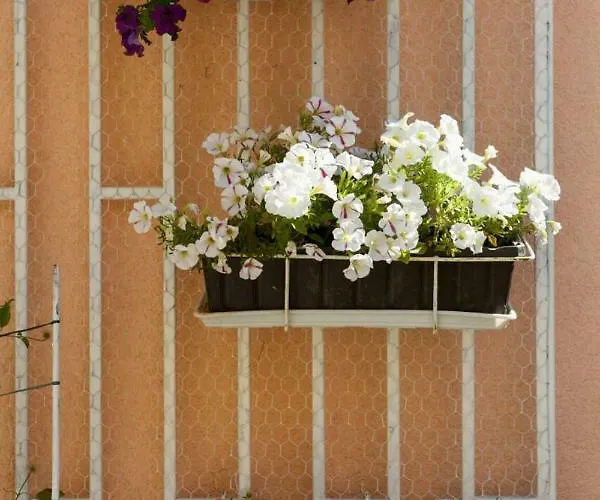 Apartman Isabella Makarska