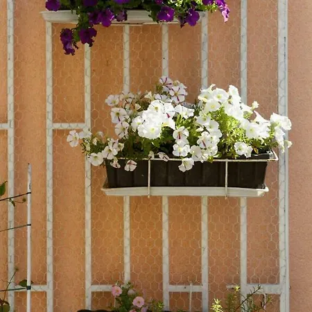 Appartement Isabella Makarska